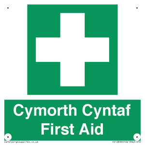 Cymorth Cyntaf First Aid in Welsh